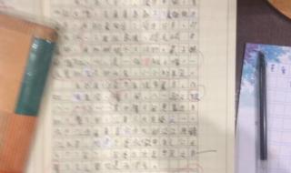 300字作文网 300字作文网